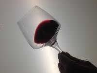 Bordeaux Wine Tour dégustation Médoc