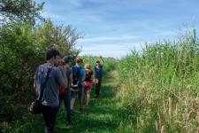 Loisirs - visites-activites à Le-Verdon-Sur-Mer