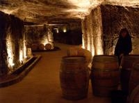 Vente directe - viticulteurs à Fronsac