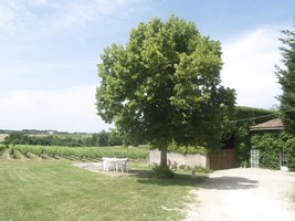 Château Lascaux : vue extérieure