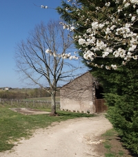 Chateau Lascaux