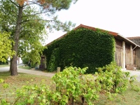 Vente directe - viticulteurs à St-Christoly-Medoc