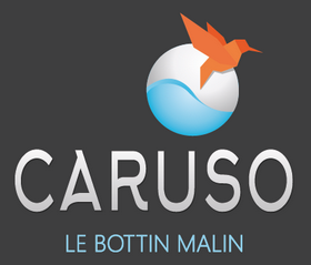 Logo Caruso33