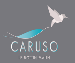 logo association caruso Tourisme et communication